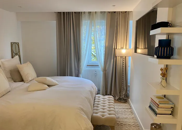 Luxury Flat Located 5 Mins From Center ストラスブール